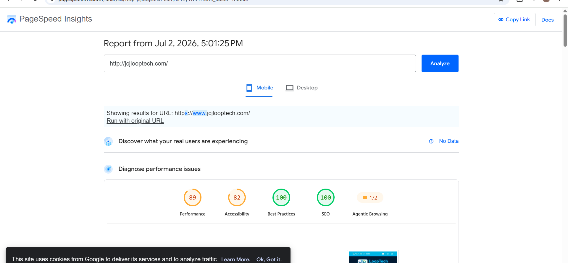 Google PageSpeed screenshot